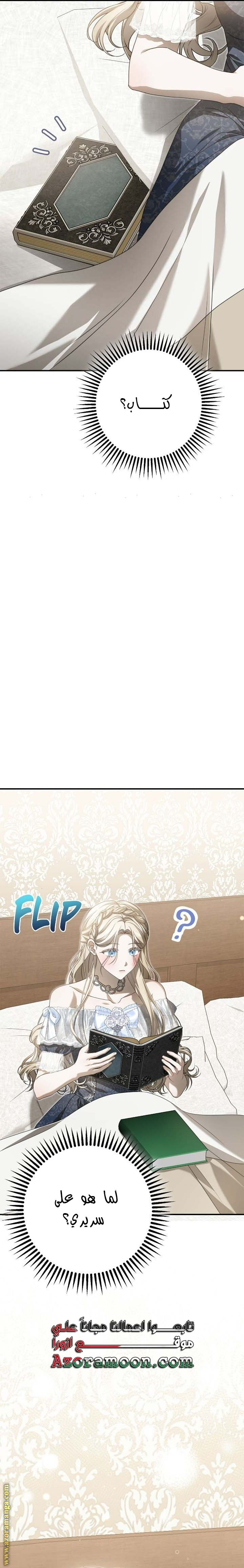الصفحة 33