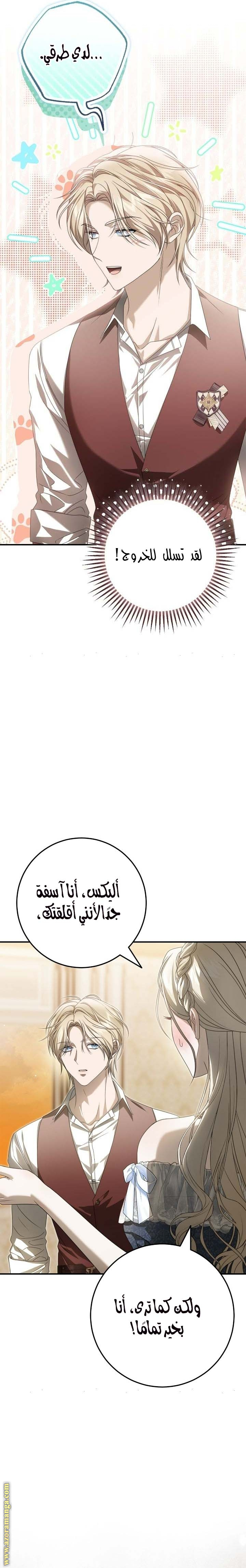 الصفحة 13