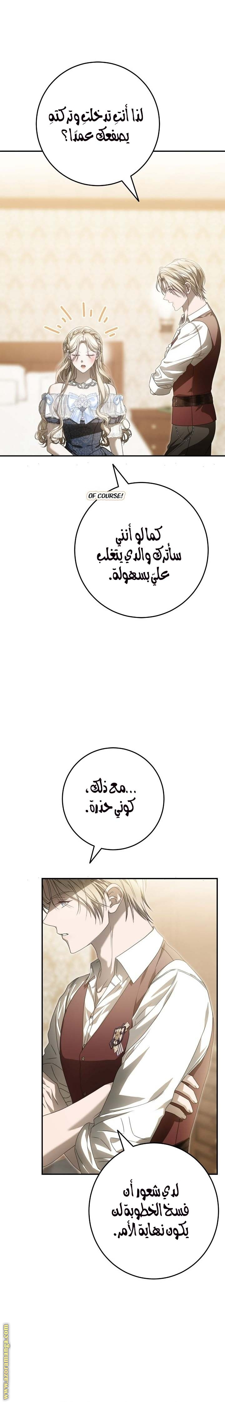 الصفحة 17