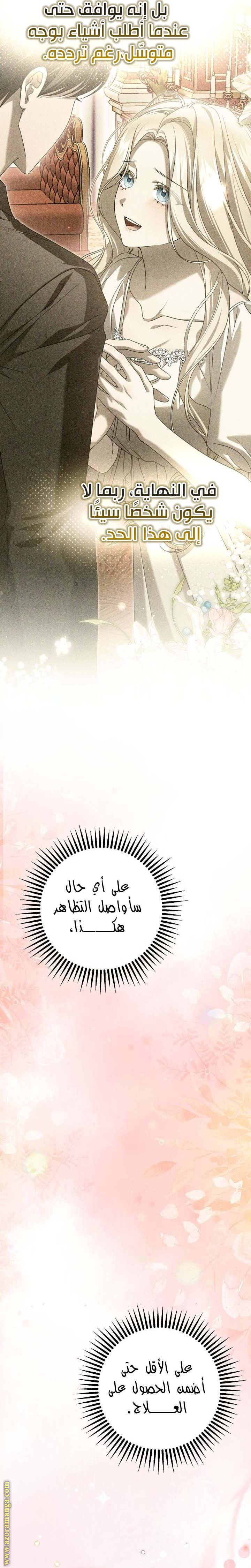 الصفحة 17