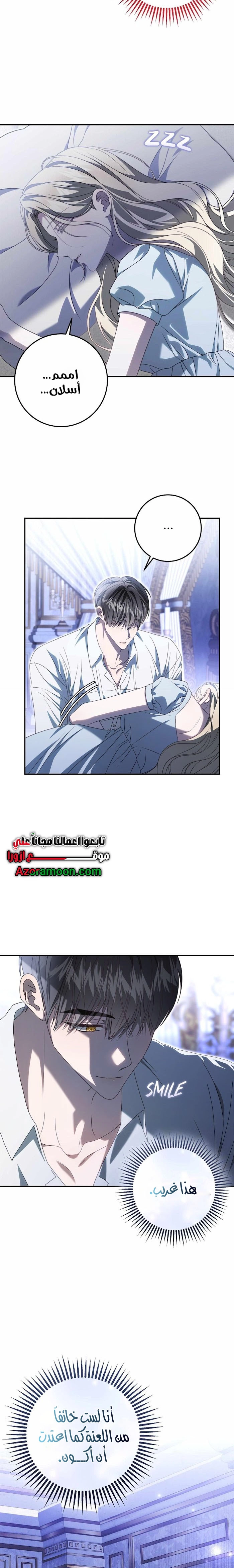الصفحة 17