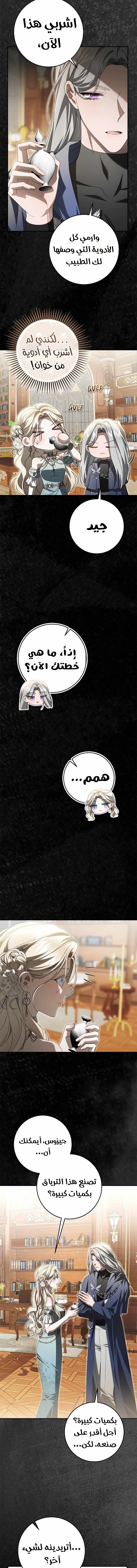 الصفحة 14