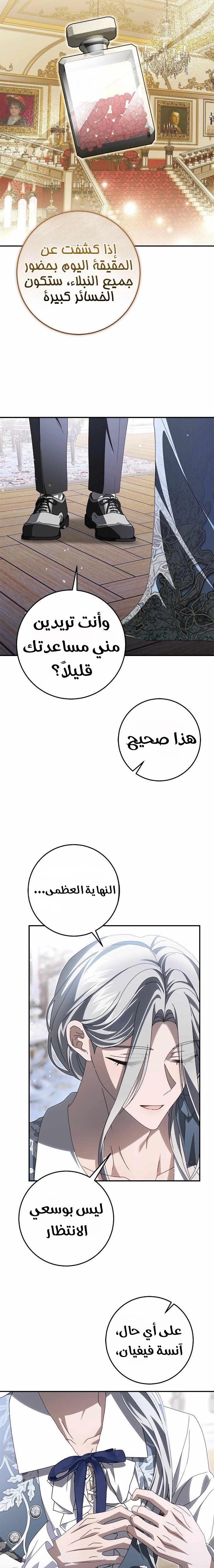 الصفحة 19
