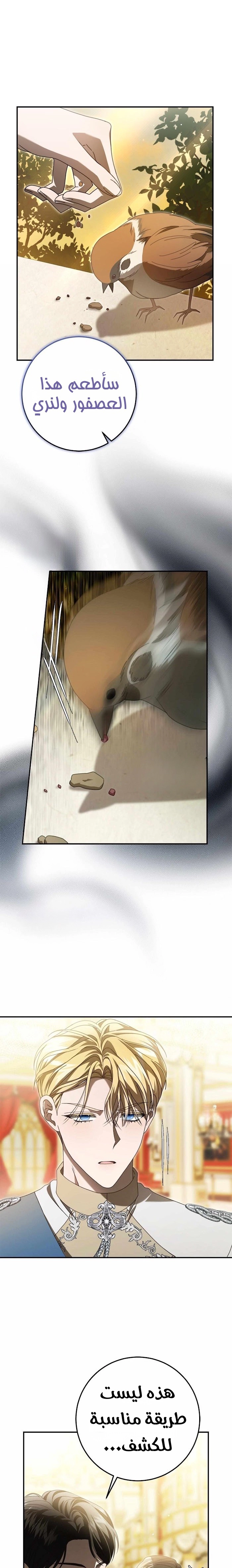 الصفحة 13