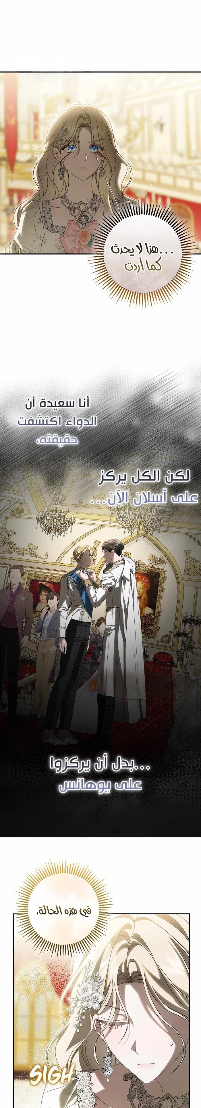 الصفحة 17