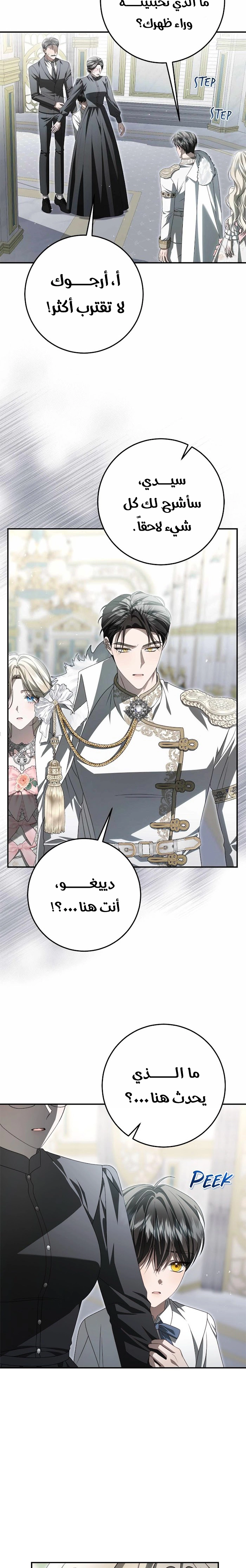 الصفحة 16