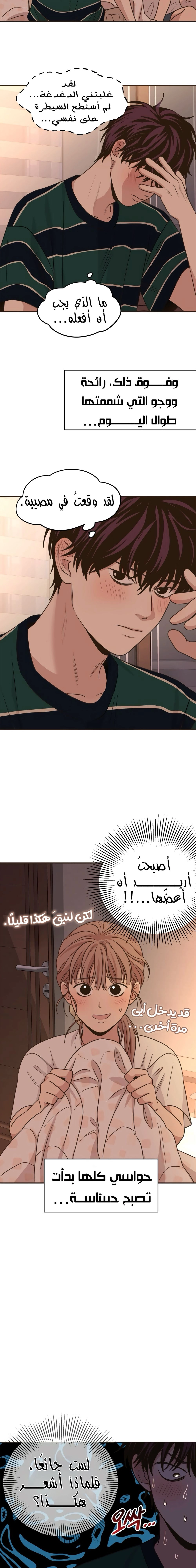 الصفحة 7