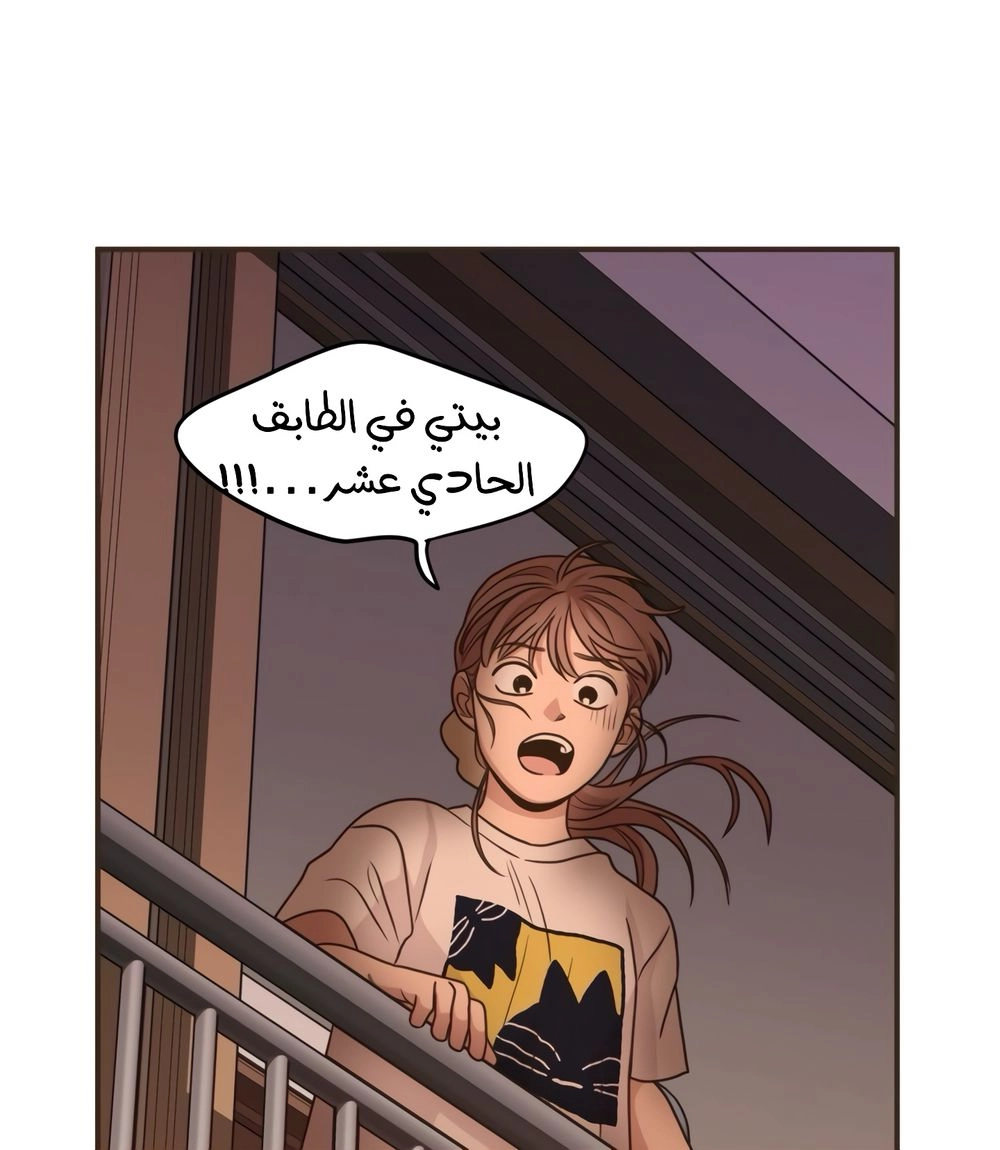 الصفحة 20