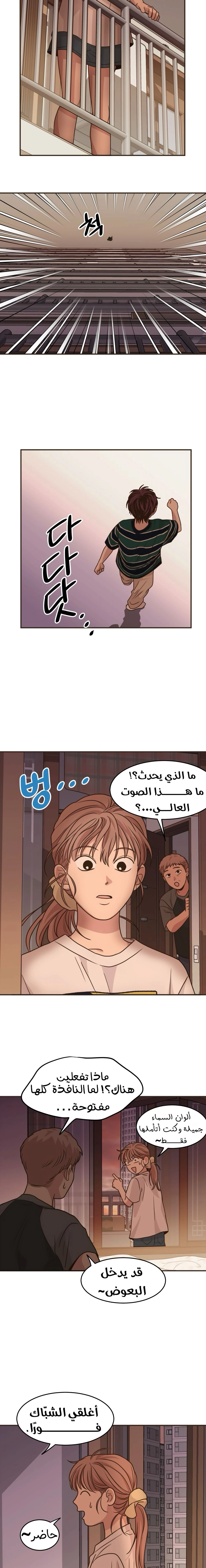 الصفحة 21