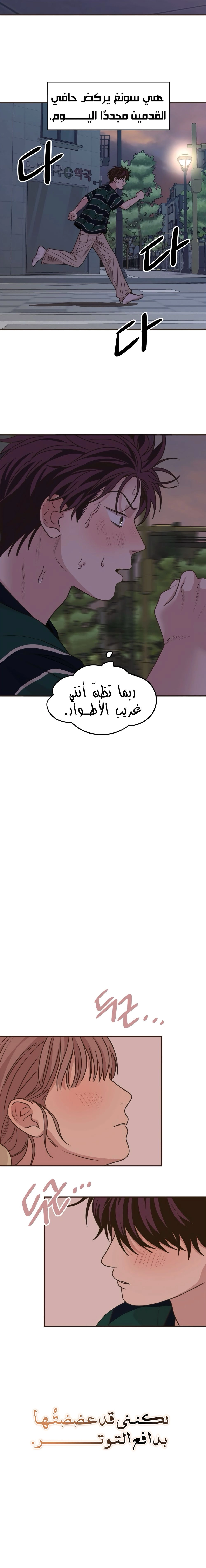 الصفحة 24