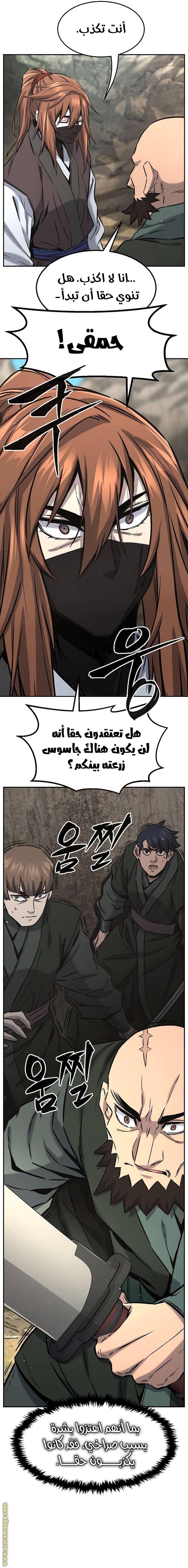 الصفحة 17