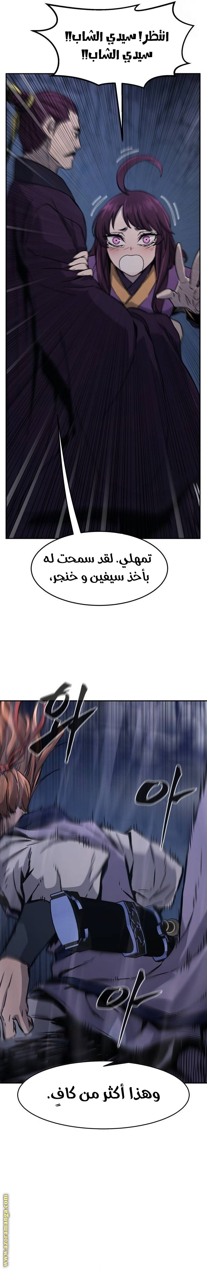 الصفحة 27