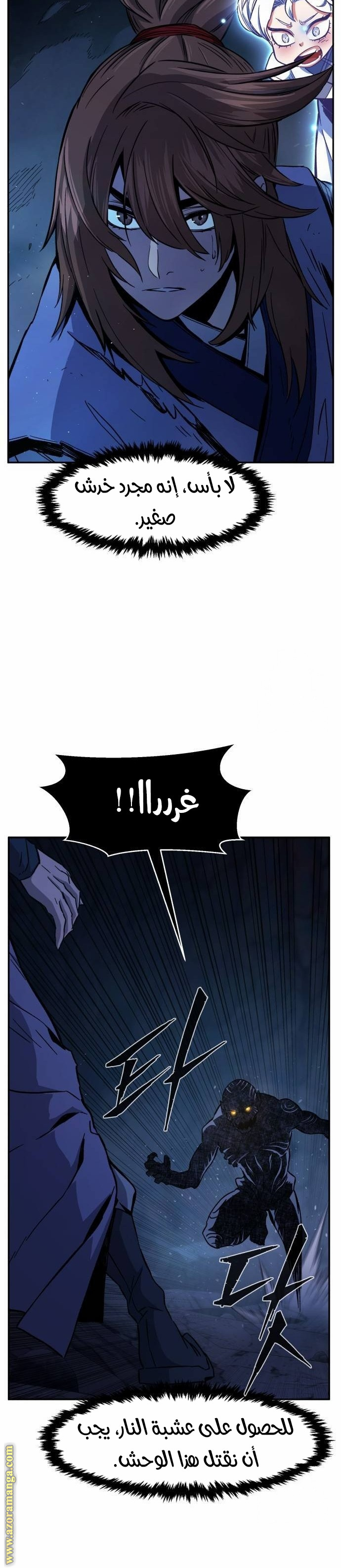 الصفحة 27
