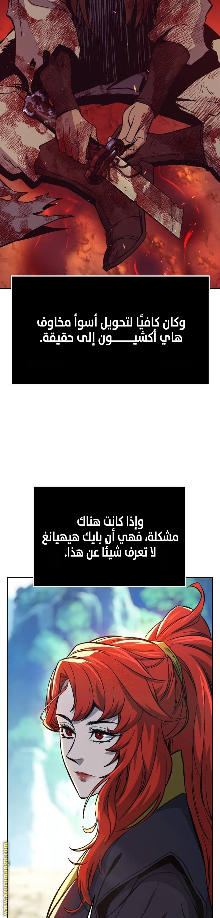 الصفحة 17