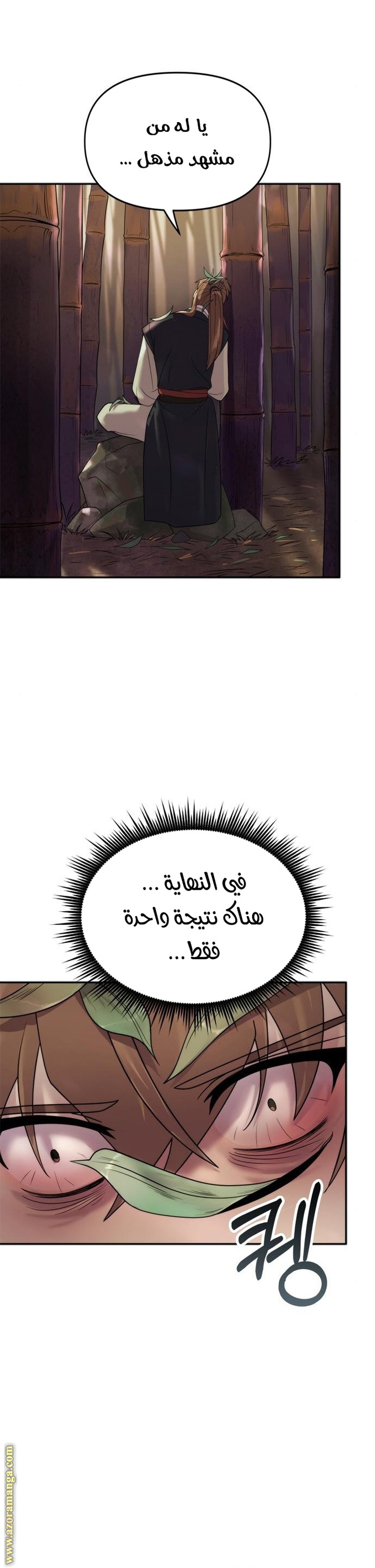 الصفحة 14