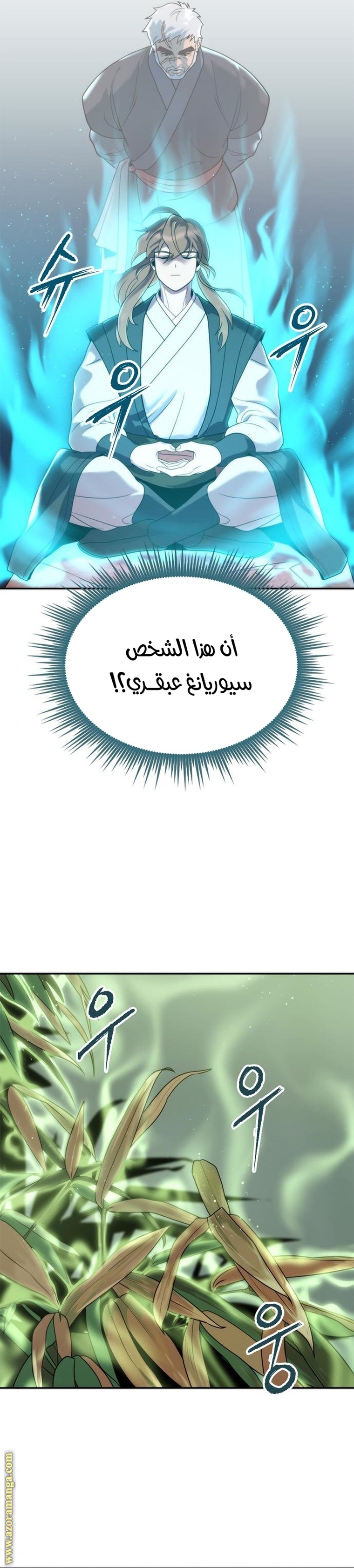 الصفحة 31