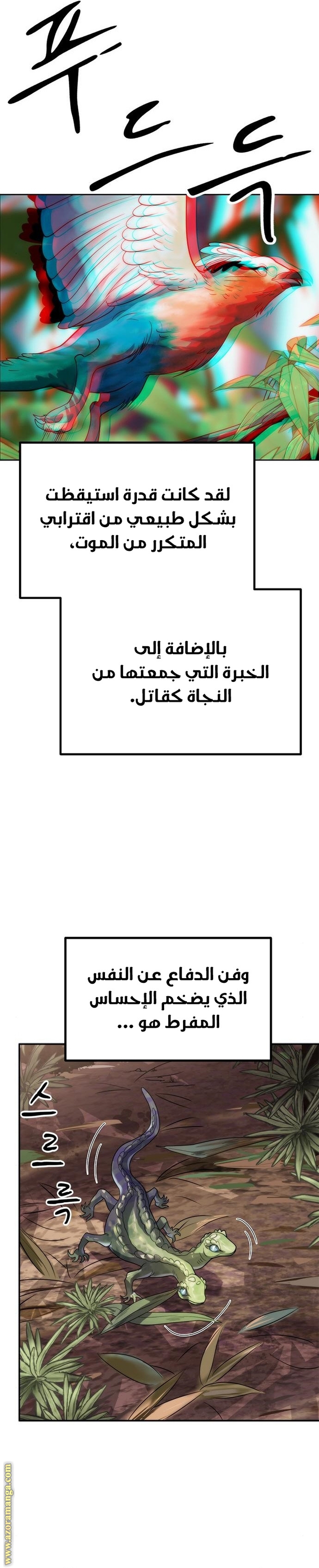 الصفحة 41