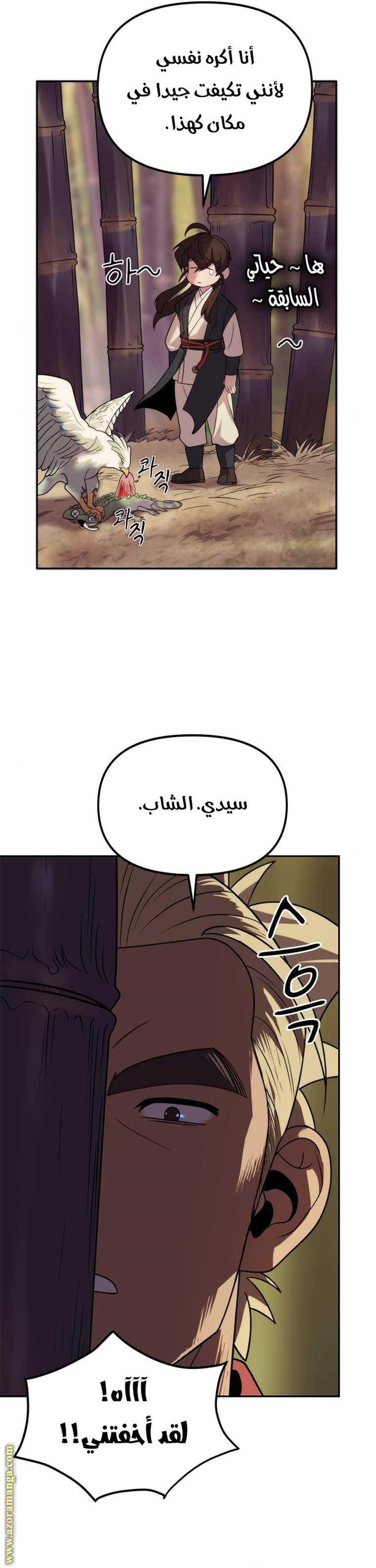 الصفحة 45