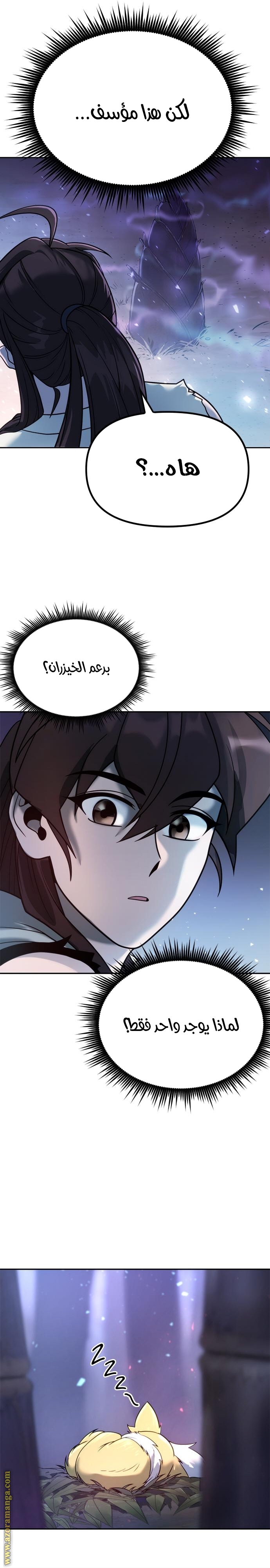 الصفحة 11