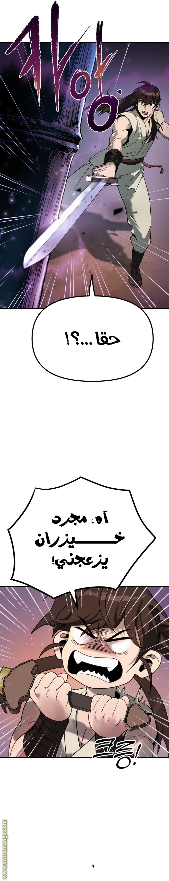 الصفحة 21