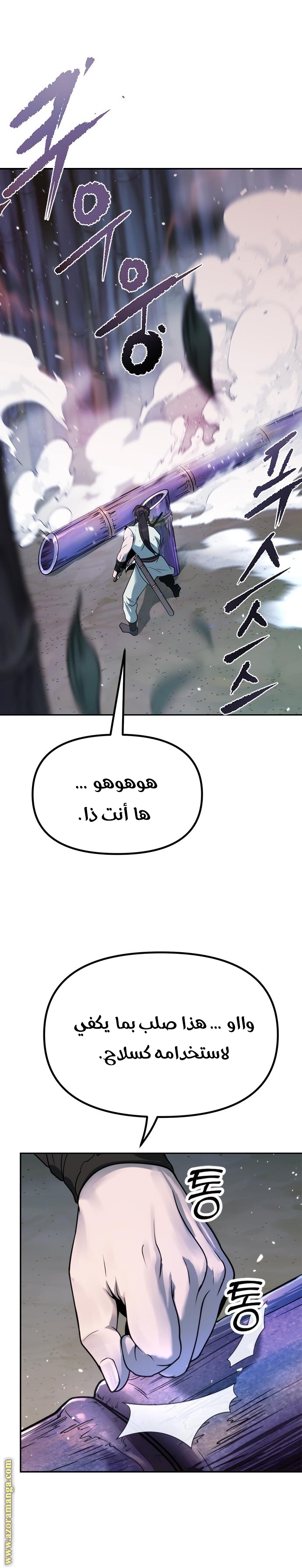 الصفحة 25