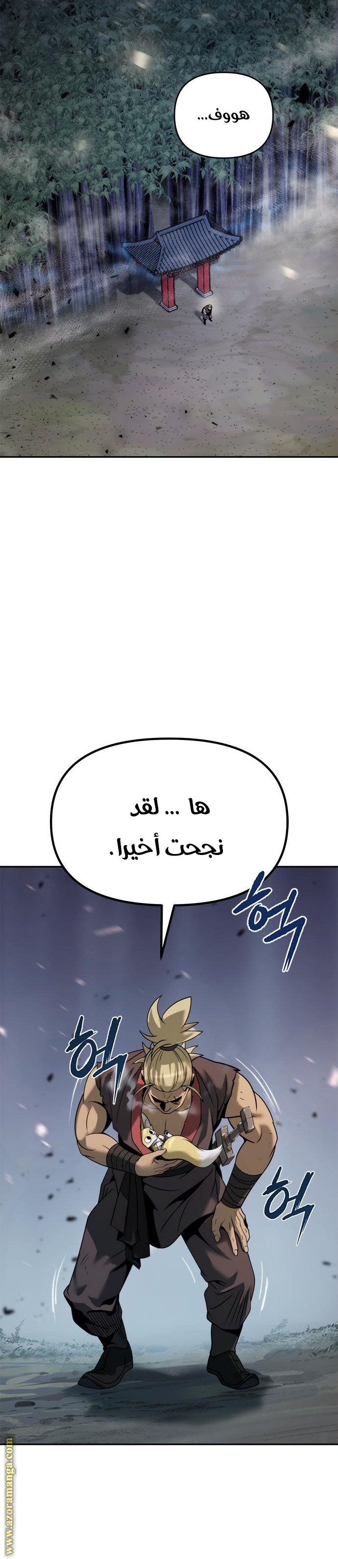 الصفحة 17