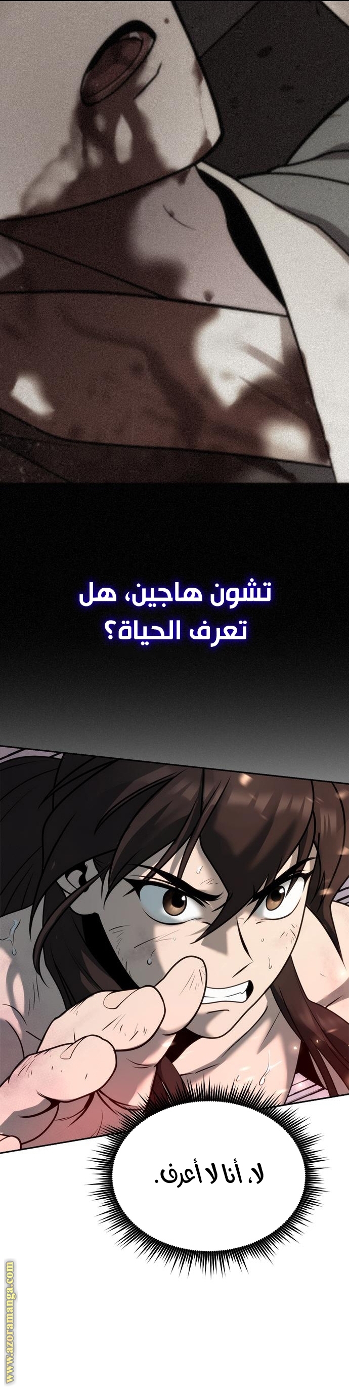الصفحة 41