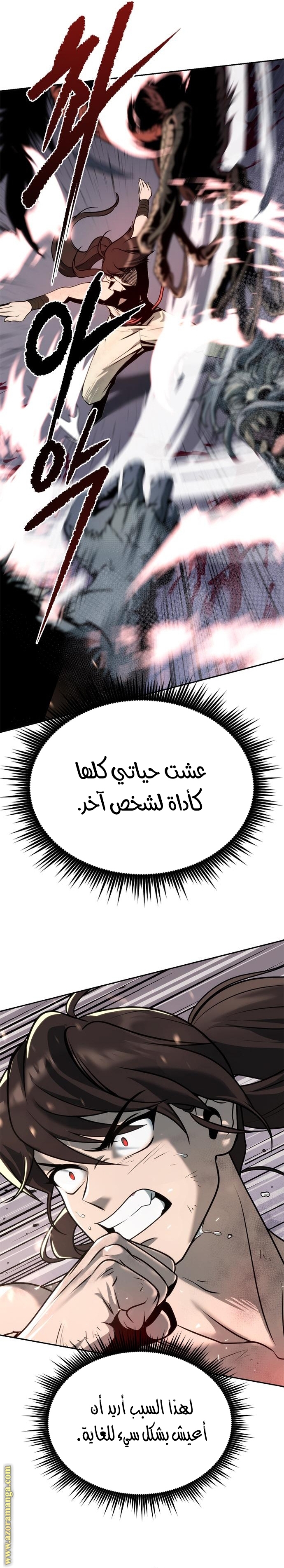 الصفحة 42