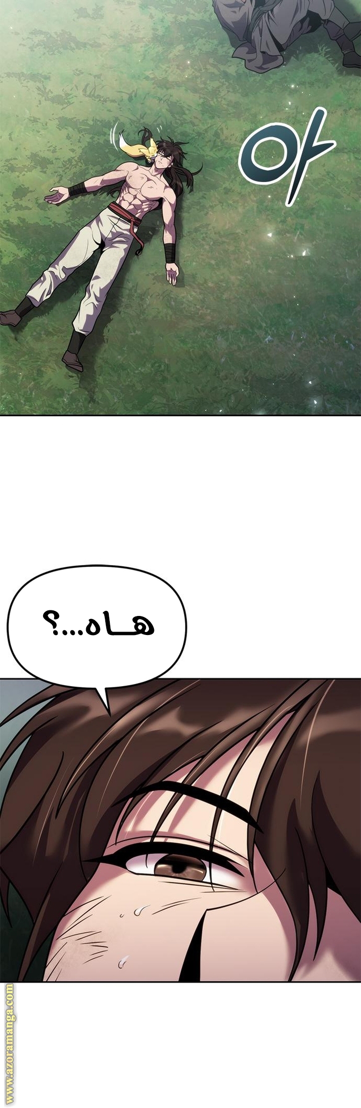 الصفحة 15