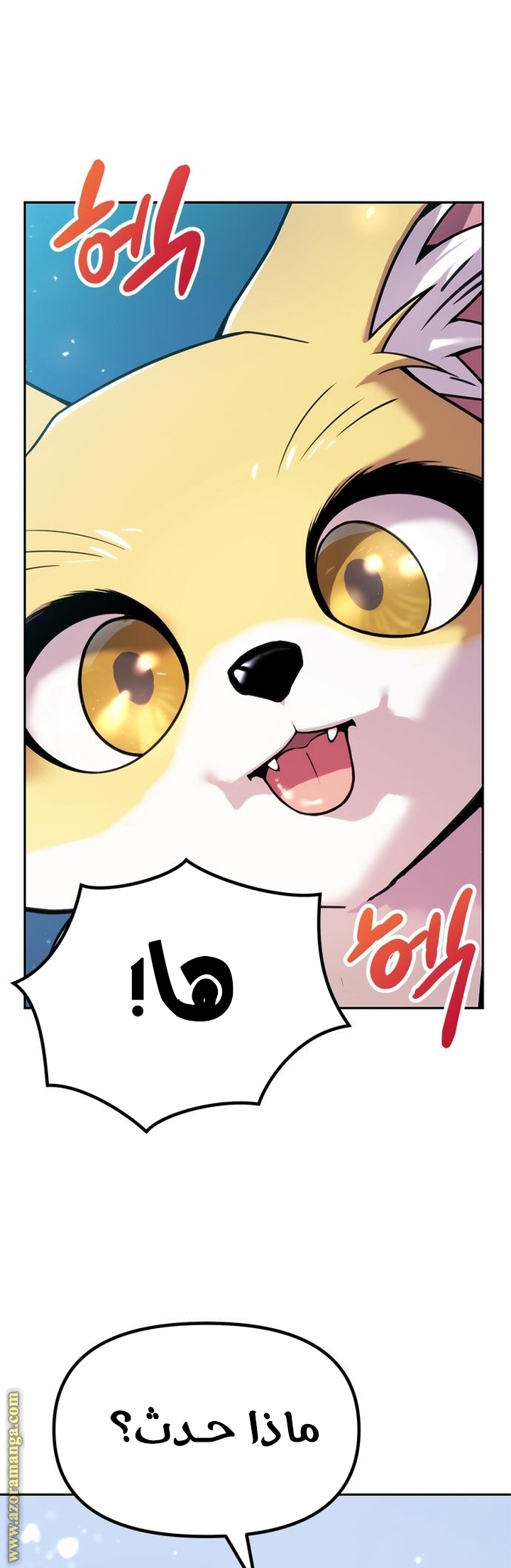 الصفحة 16