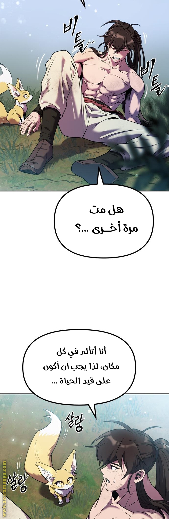 الصفحة 17
