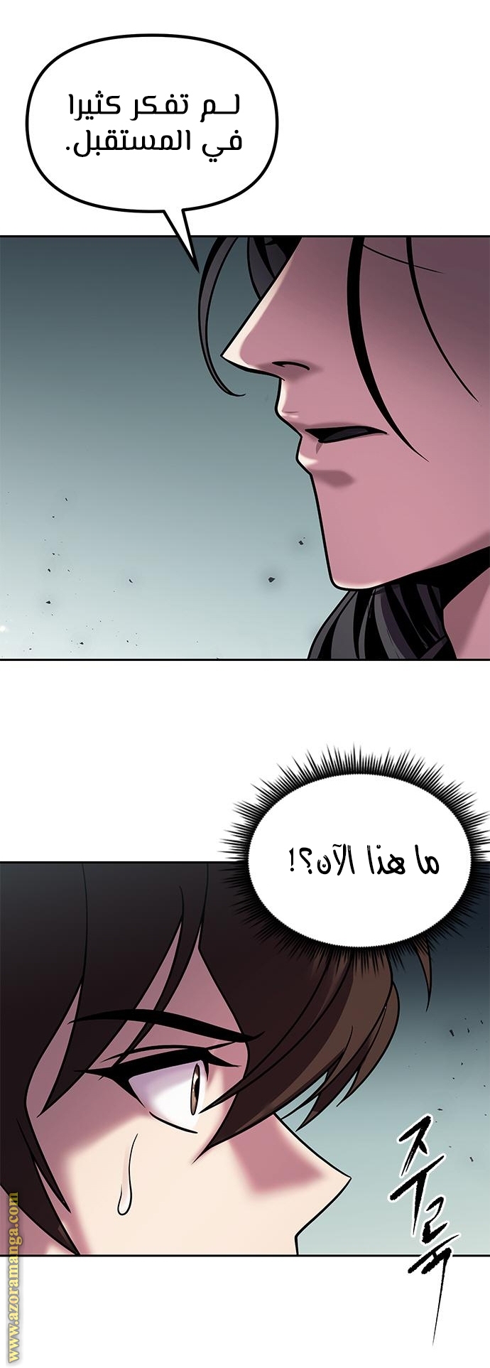 الصفحة 41