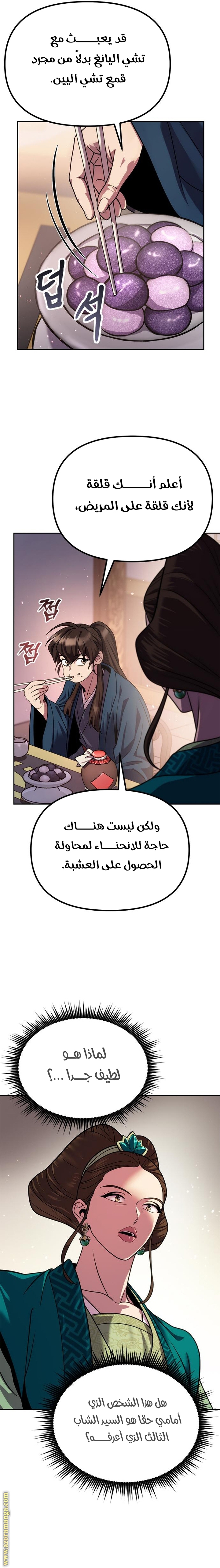 الصفحة 13