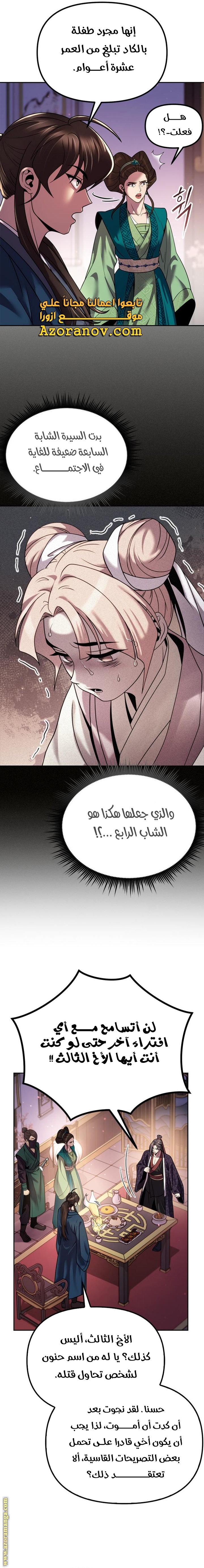 الصفحة 17