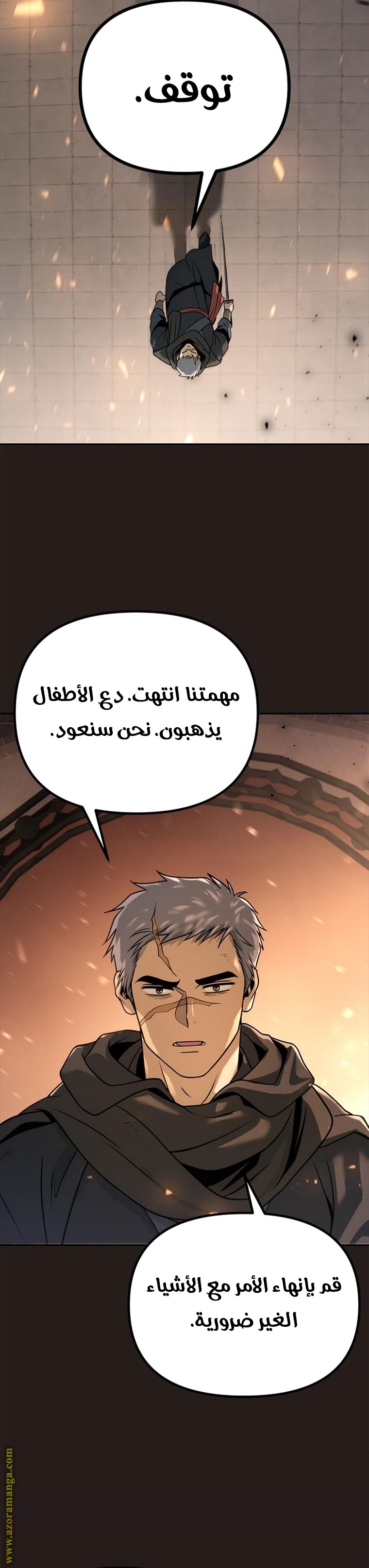 الصفحة 17