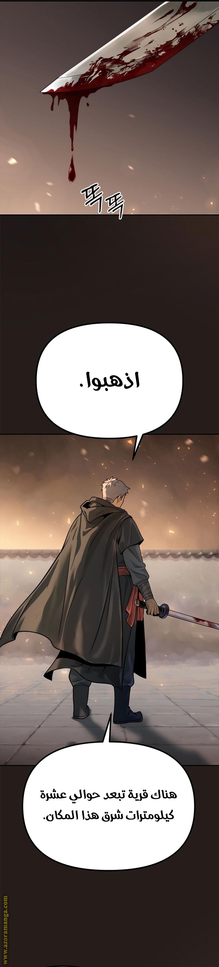 الصفحة 25