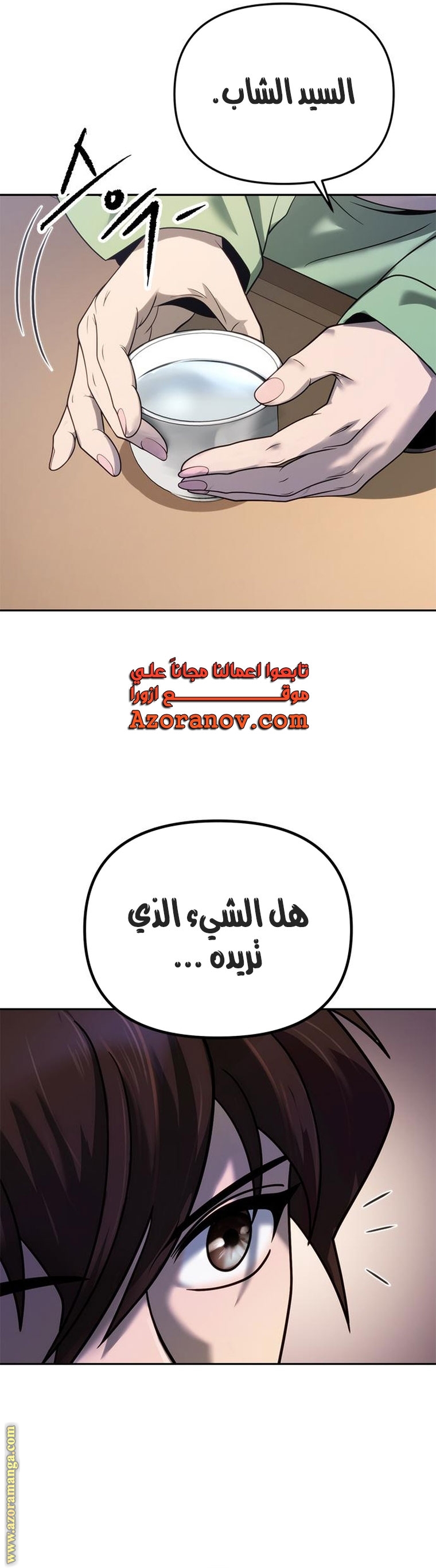 الصفحة 46