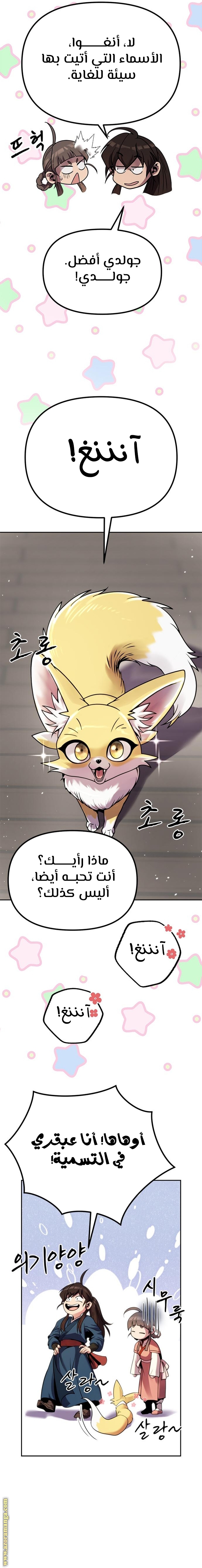 الصفحة 13