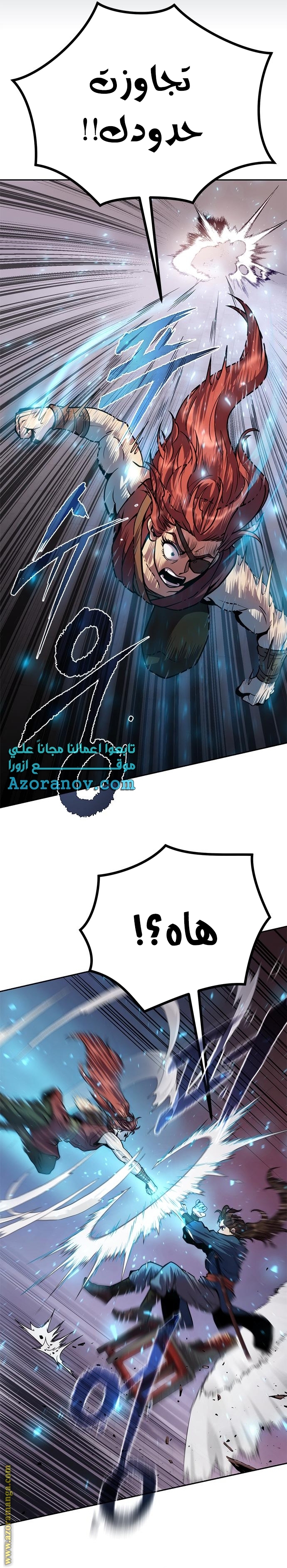 الصفحة 29
