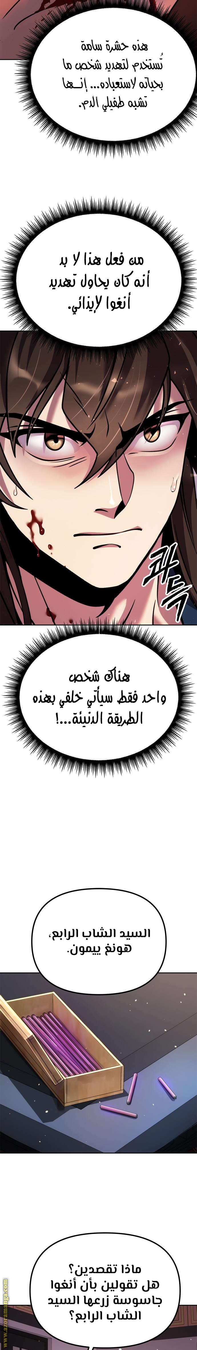 الصفحة 13