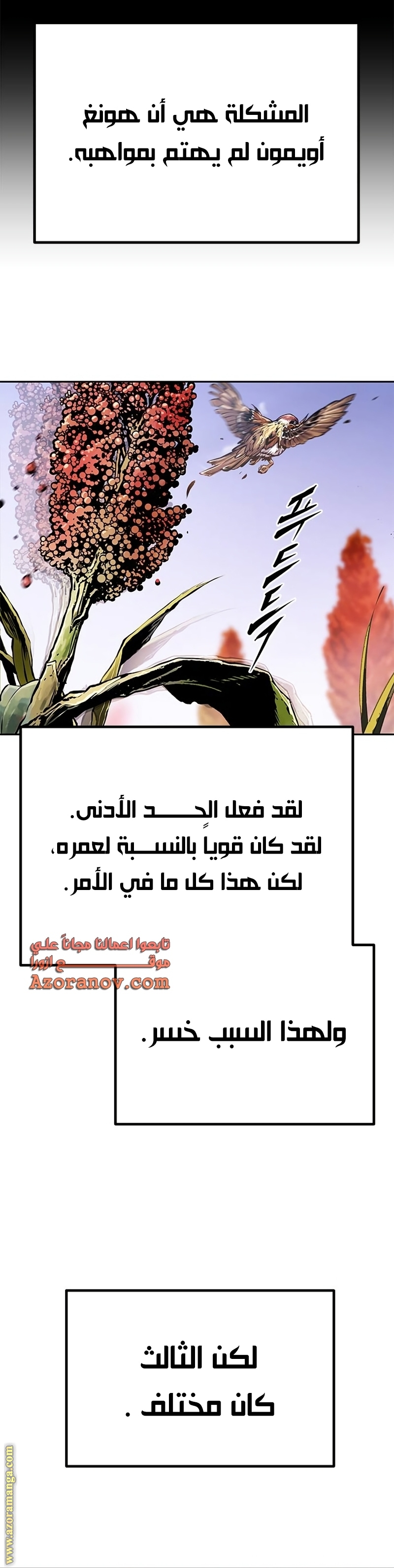 الصفحة 43