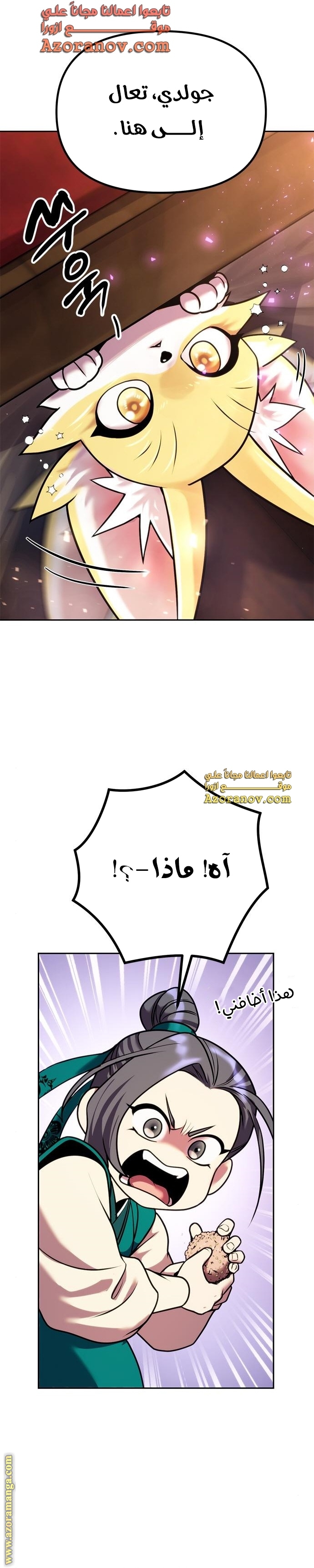الصفحة 12