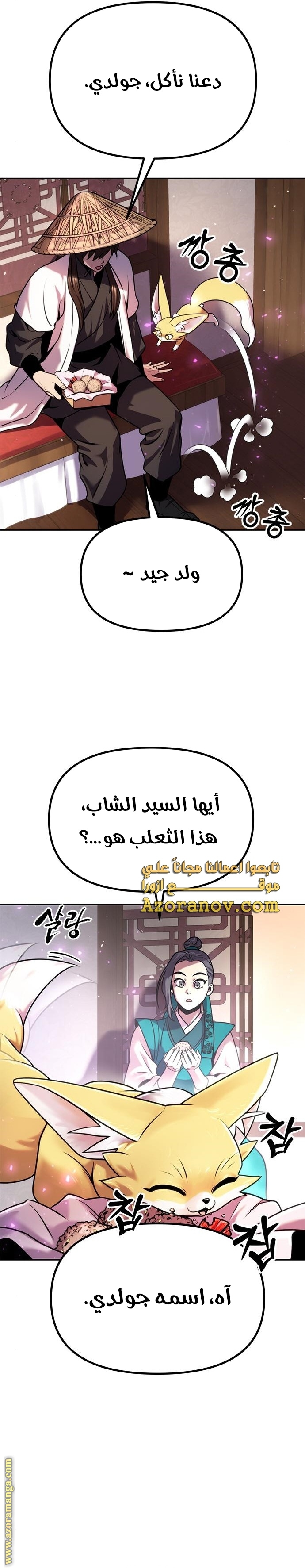 الصفحة 13