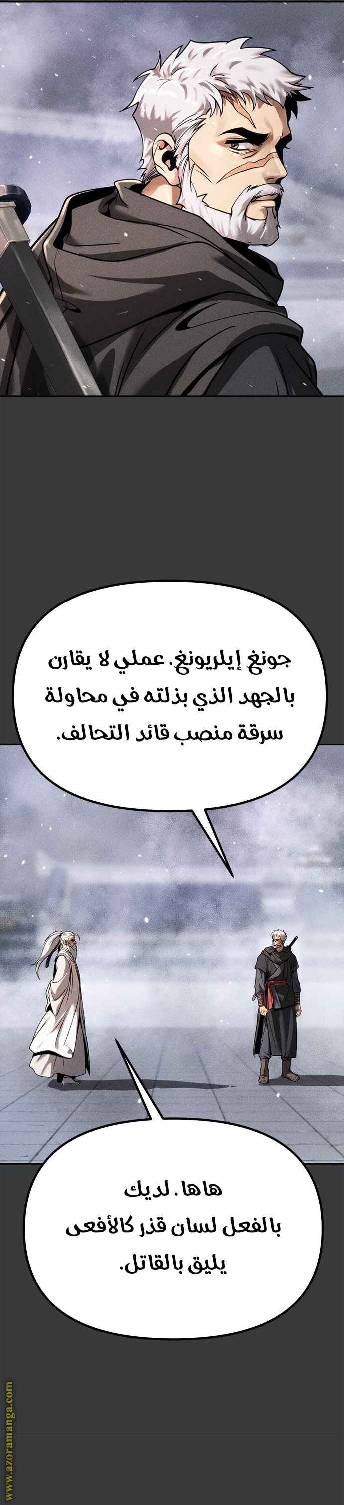 الصفحة 29