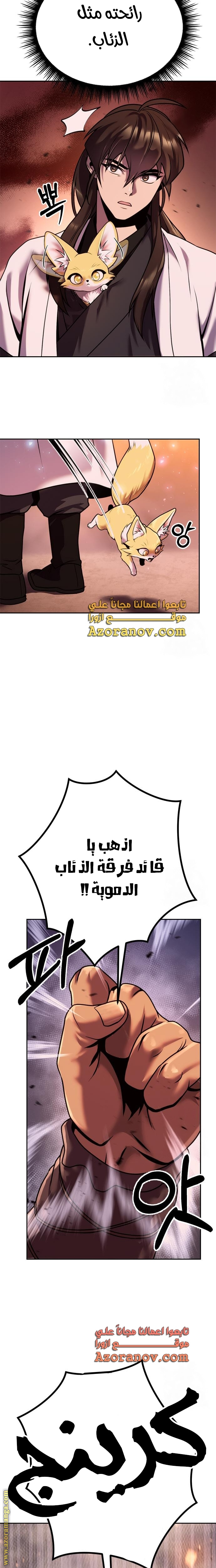 الصفحة 17
