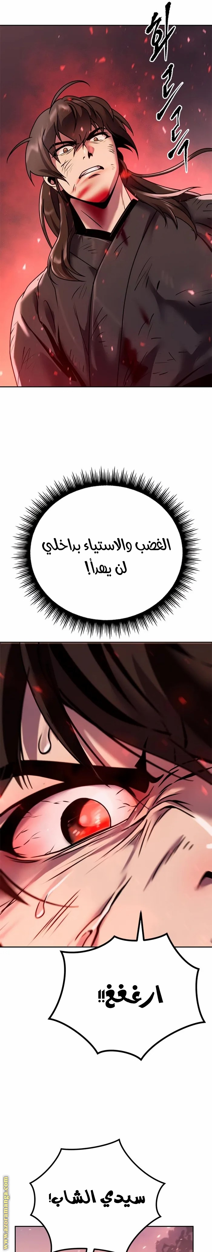 الصفحة 13
