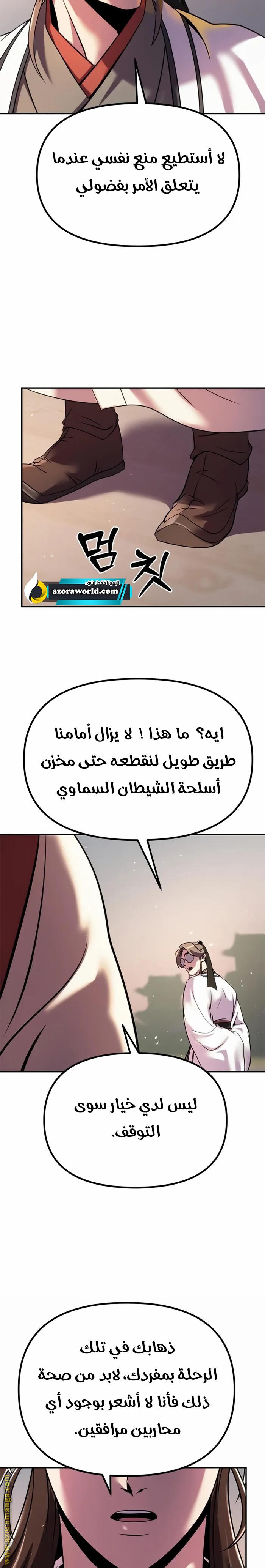 الصفحة 17