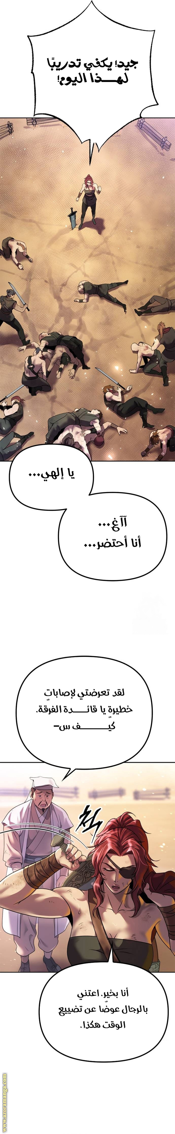 الصفحة 13