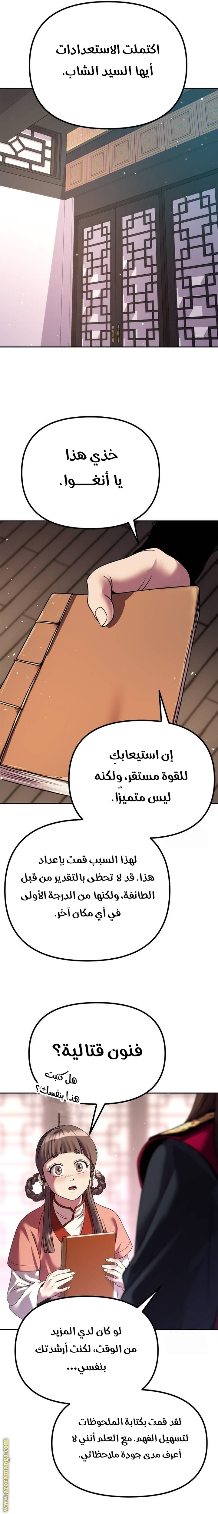 الصفحة 17