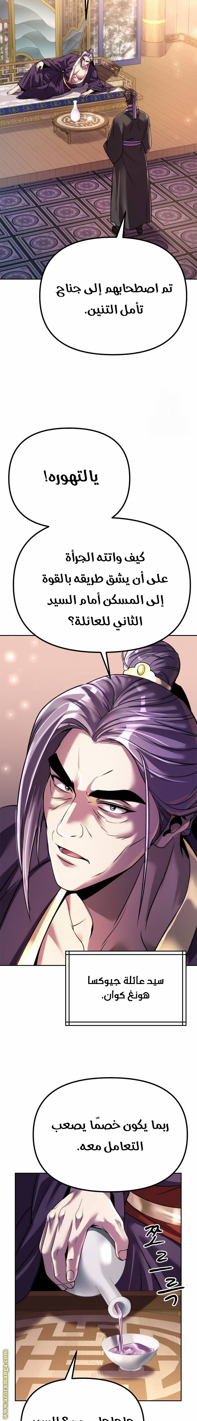 الصفحة 17